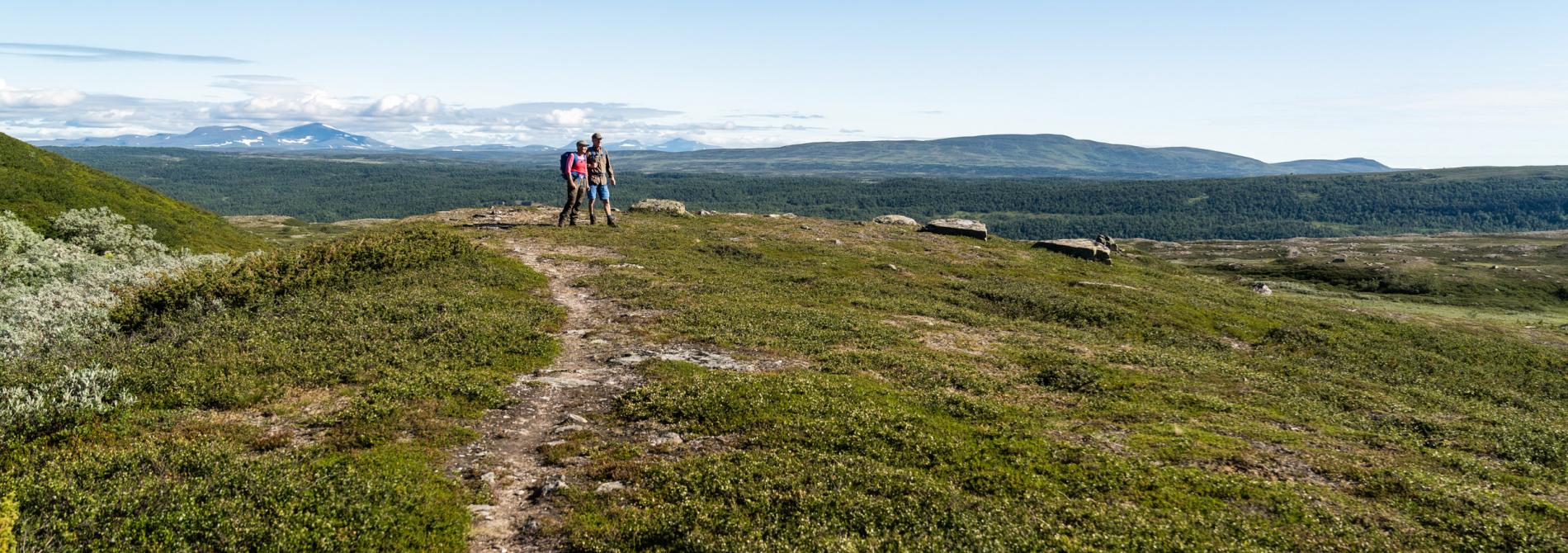 Hiking in Funäs mountains. Foto: Erik Jansson